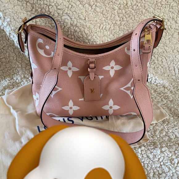 Louis Vuitton carryall PM - Picture 1 of 17